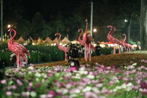 BIB: 
                            <button type="button" onclick="openModal(27337322)" class="btn btn-primary btn-sm float-right btn-popup" data-toggle="modal" data-target=".modal-high-quality">
                        <i class="fas fa-shopping-cart"></i> Add to Cart
                    </button>
                                            <button type="button" onclick="isThisMe(27337322, true)" class="btn btn-success btn-sm float-right btn-popup btn-isme hidden" data-toggle="tooltip" data-placement="bottom" title="นี่คือรูปของคุณใช่ไหม คลิกที่นี่เพื่อเอาเข้าอัลบั้ม">
                        <i class="fas fa-plus"></i> Add to album
                    </button>
                    <button type="button" onclick="isThisMe(27337322, false)" class="btn btn-warning btn-sm float-right btn-popup btn-isnotme hidden">
                        <i class="fas fa-ban"></i> Remove from album
                    </button>